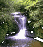 pic for WATERFALL  240x260
